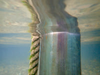 P9110113