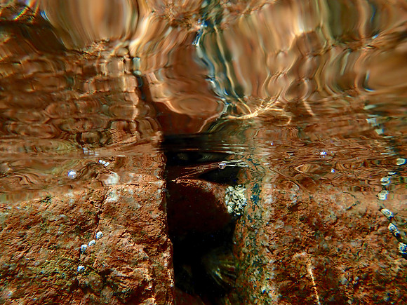 P9100026